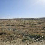 Продажа Участок, Масазыр, Абшерон район 6