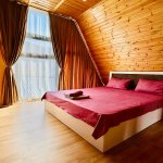 Kirayə (günlük) 5 otaqlı Həyət evi/villa Qəbələ 19