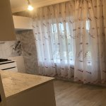 Kirayə (aylıq) 2 otaqlı Köhnə Tikili, Bakıxanov qəs., Sabunçu rayonu 5