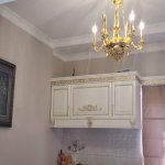 Kirayə (günlük) 3 otaqlı Bağ evi, Sabunçu rayonu 58