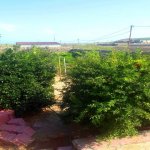 Satılır 8 otaqlı Bağ evi, Pirallahı, Pirallahı rayonu 10
