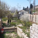 Satılır Torpaq, Neftçilər metrosu, Bakıxanov qəs., Sabunçu rayonu 1