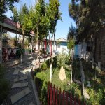 Kirayə (aylıq) 3 otaqlı Bağ evi, Mərdəkan, Xəzər rayonu 1