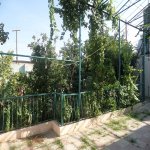 Satılır 3 otaqlı Həyət evi/villa, Bakıxanov qəs., Sabunçu rayonu 25