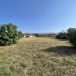 Satılır 5 otaqlı Həyət evi/villa Zaqatala 6