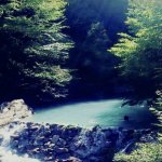 Kirayə (günlük) 4 otaqlı Bağ evi İsmayıllı 14
