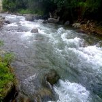 Satılır Torpaq Qəbələ 2