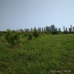 Satılır Torpaq Xaçmaz 6