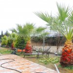 Kirayə (aylıq) Obyekt, Binə qəs., Xəzər rayonu 25