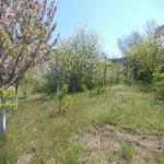 Satılır 5 otaqlı Bağ evi, Novxanı, Abu Petrol Novxanı, Abşeron rayonu 15