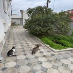 Satılır 3 otaqlı Həyət evi/villa, Xətai metrosu, H.Aslanov qəs., Xətai rayonu 8