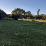 Satılır 3 otaqlı Həyət evi/villa Oğuz 11