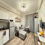 Продажа 1 комнат Новостройка, м. 20 Января метро, пос. Ясамал, Ясамал район 5