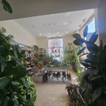 Kirayə (aylıq) Obyekt, Sahil metrosu, Səbail rayonu 3