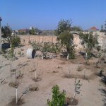 Satılır 4 otaqlı Bağ evi, Novxanı, Abşeron rayonu 6