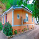 Kirayə (günlük) 3 otaqlı Həyət evi/villa Lerik 1