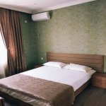 Kirayə (günlük) 5 otaqlı Həyət evi/villa Qəbələ 8