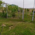 Satılır 2 otaqlı Həyət evi/villa Şirvan 7