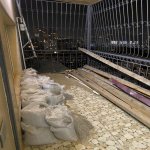 Аренда 3 комнат Новостройка, м. 20 Января метро, Ясамал район 27