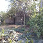 Satılır 4 otaqlı Bağ evi, Goradil, Abşeron rayonu 3