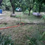 Kirayə (günlük) 3 otaqlı Həyət evi/villa Qəbələ 22