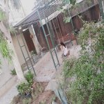 Kirayə (günlük) 3 otaqlı Bağ evi, Buzovna, Xəzər rayonu 7