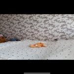 Satılır 2 otaqlı Yeni Tikili Xırdalan 6