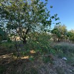 Satılır 9 otaqlı Həyət evi/villa, Novxanı, Abşeron rayonu 43