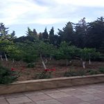 Kirayə (aylıq) 6 otaqlı Bağ evi, Buzovna, Xəzər rayonu 9