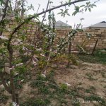 Продажа 6 комнат Дача, Мехдиабад, Абшерон район 9