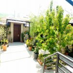 Посуточно 4 комнатная Дома/Виллы Гусар 1