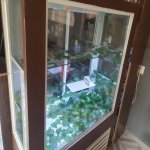 Kirayə (aylıq) Obyekt, Nizami metrosu, Nəsimi rayonu 13