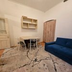 Kirayə (aylıq) 1 otaqlı Həyət evi/villa, 28 May metrosu, Nəsimi rayonu 6