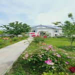 Kirayə (günlük) 4 otaqlı Həyət evi/villa Qəbələ 3