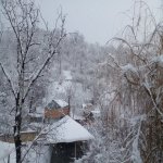 Satılır 5 otaqlı Həyət evi/villa Qəbələ 21