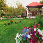 Kirayə (günlük) 4 otaqlı Həyət evi/villa Qəbələ 1