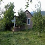 Kirayə (günlük) 2 otaqlı Bağ evi İsmayıllı 3