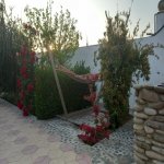 Kirayə (aylıq) 3 otaqlı Bağ evi, Abşeron rayonu 42