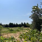 Satılır Torpaq, Bilgəh qəs., Sabunçu rayonu 1