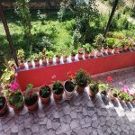 Kirayə (günlük) 3 otaqlı Həyət evi/villa Qəbələ 12