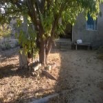 Satılır 1 otaqlı Bağ evi, Fatmayi, Abşeron rayonu 6