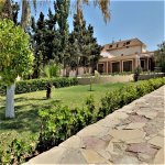 Kirayə (aylıq) 7 otaqlı Həyət evi/villa, Mərdəkan, Xəzər rayonu 14