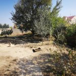 Satılır Torpaq, Nardaran qəs., Sabunçu rayonu 4