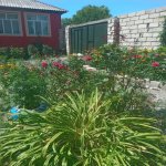 Kirayə (günlük) 2 otaqlı Bağ evi İsmayıllı 1