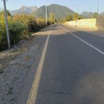 Satılır Torpaq Qəbələ 11