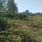 Satılır Torpaq, Mehdiabad, Abşeron rayonu 1