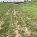 Satılır Torpaq Quba 3