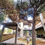 Продажа 9 комнатная Дача, Сабунчу район 16