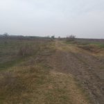 Satılır Torpaq Ağcabədi 5