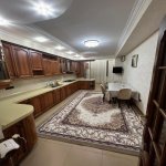 Kirayə (aylıq) 4 otaqlı Yeni Tikili, 28 May metrosu, Nəsimi rayonu 14